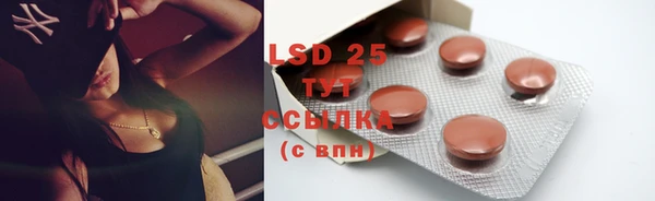 ГАЛЛЮЦИНОГЕННЫЕ ГРИБЫ Верхний Тагил