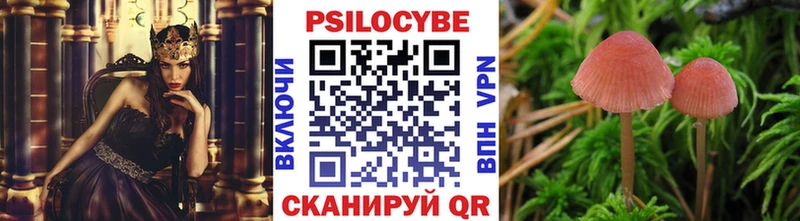 Купить закладки  Севск  Псилоцибиновые грибы MAGIC MUSHROOMS 